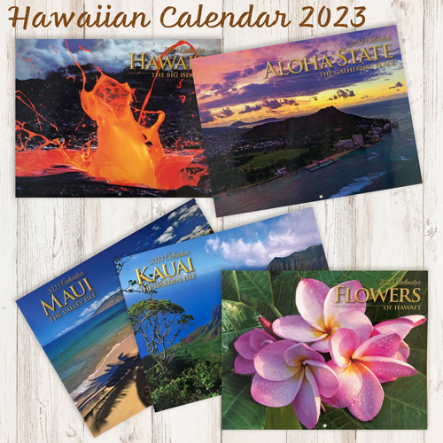 ハワイ直輸入壁掛けフォトカレンダー